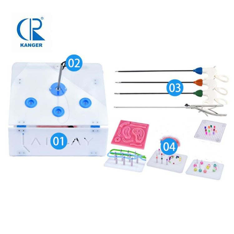 Protable Endo Trainer